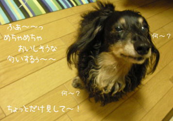 b0249672_20504869.jpg