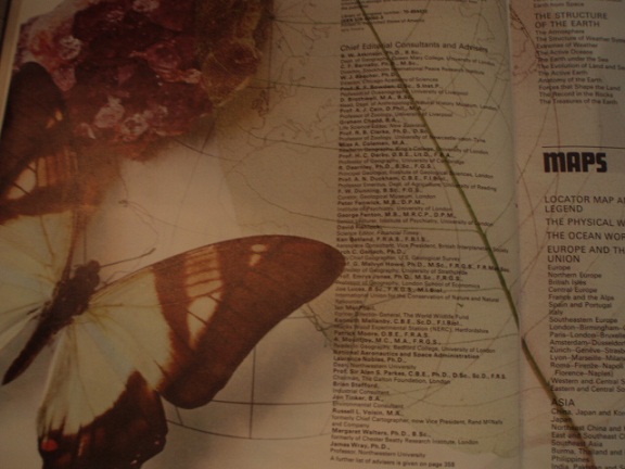 c0214272_2327493.jpg