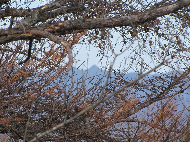 a0191674_14513046.jpg