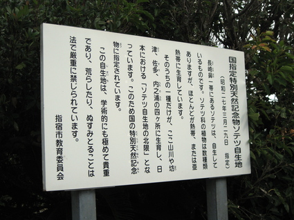 b0174079_23251985.jpg