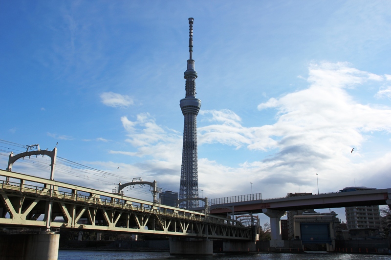 a0127090_1192399.jpg