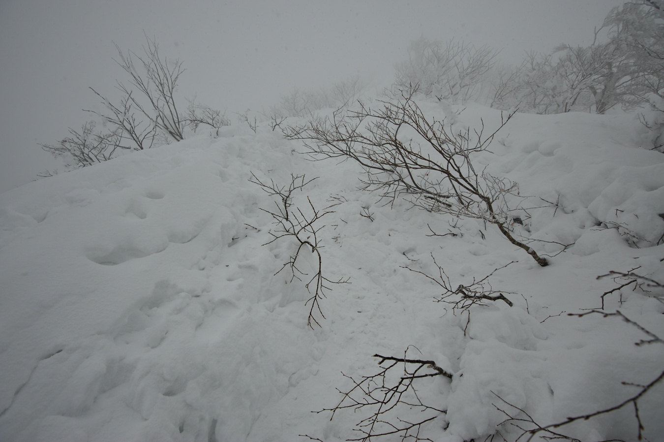 c0138991_22383791.jpg