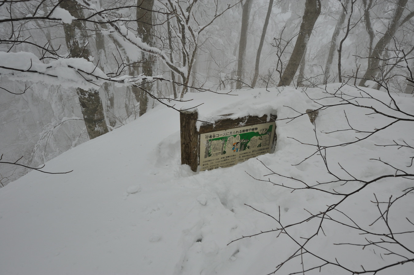 c0138991_23325029.jpg