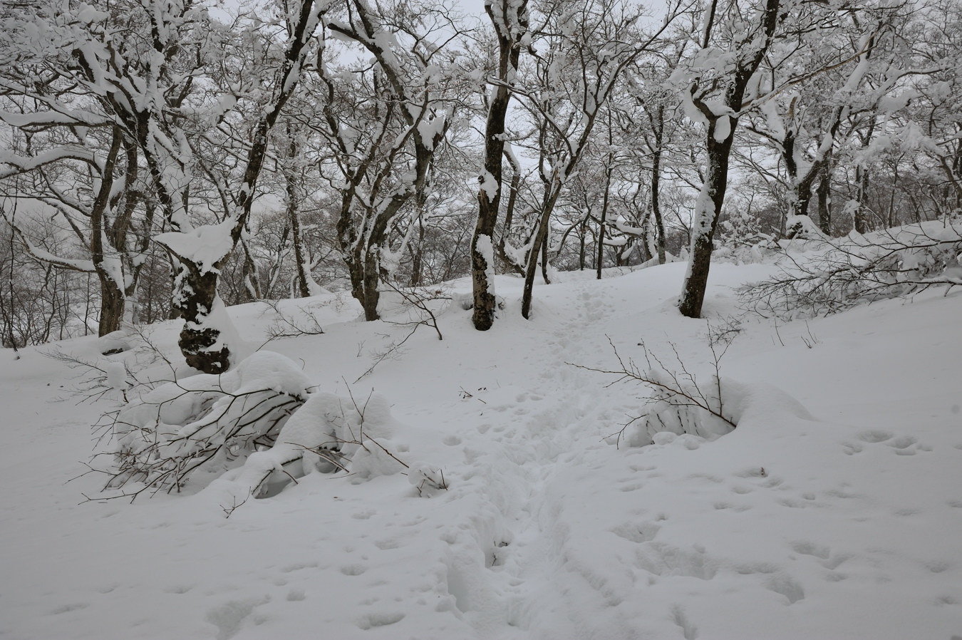c0138991_23473147.jpg