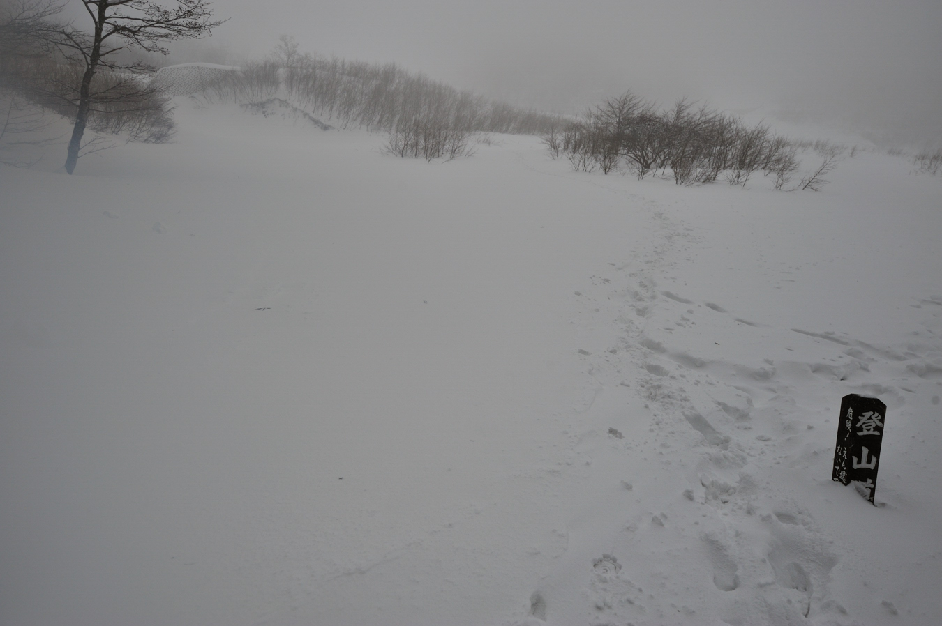 c0138991_23485918.jpg