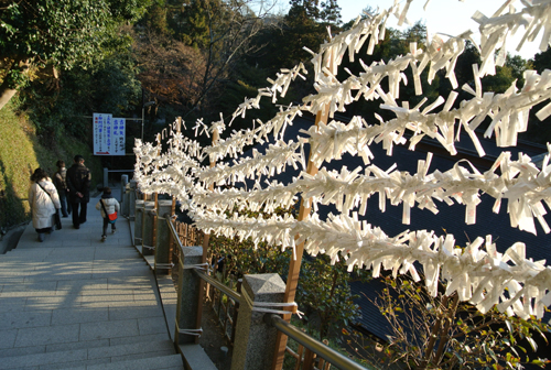 e0072091_2252959.jpg