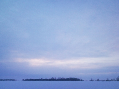 f0225998_1019619.jpg