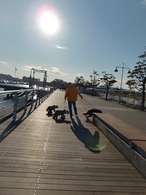 a0134004_12154823.jpg