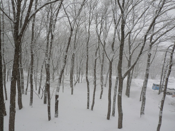 e0242504_8333797.jpg
