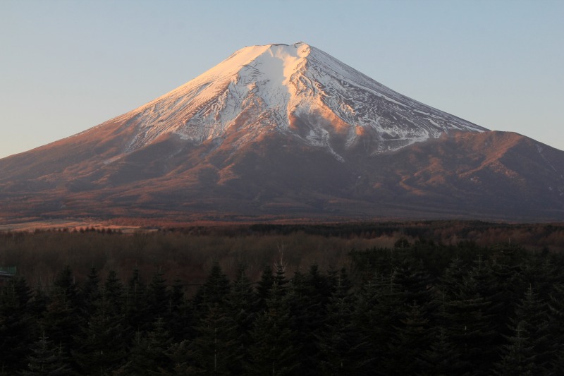 a0188405_21552651.jpg