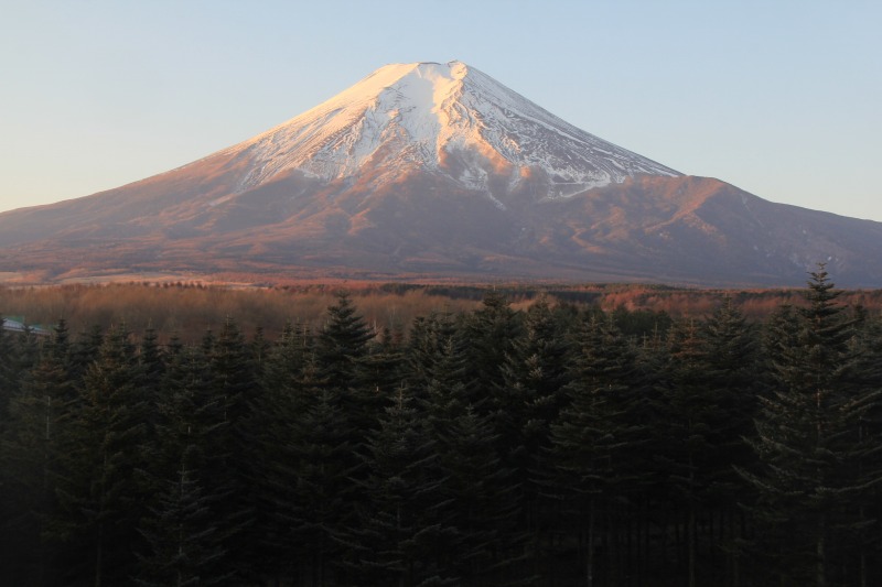 a0188405_2155421.jpg
