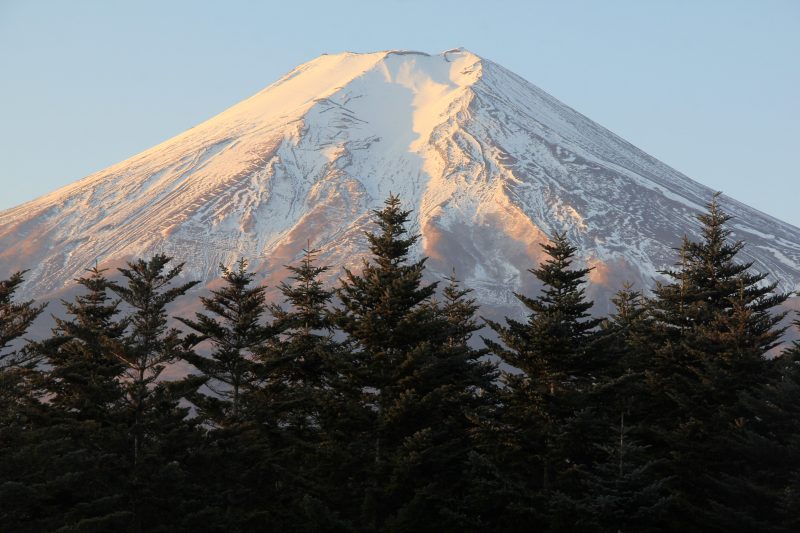 a0188405_21555210.jpg