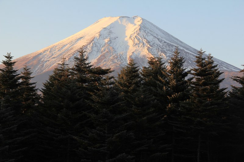 a0188405_21563551.jpg