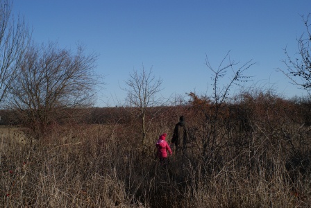 f0144707_6181767.jpg