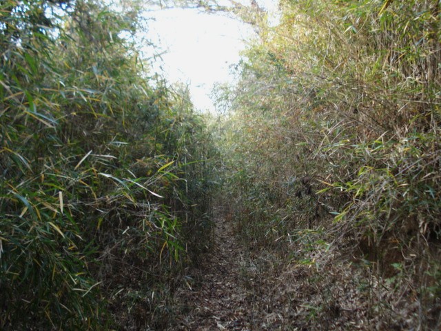 e0015108_1456208.jpg