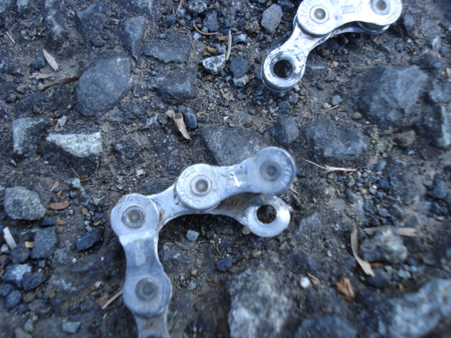 e0015108_1582256.jpg