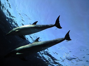f0006509_23463322.jpg