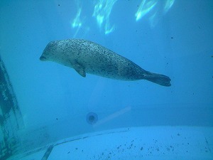 f0006509_23464359.jpg