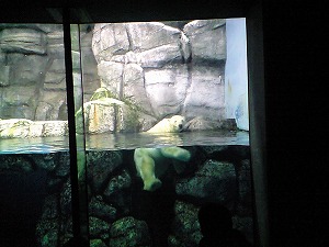 f0006509_23475698.jpg