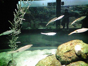 f0006509_23483741.jpg