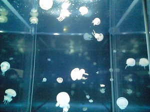 f0006509_2348469.jpg