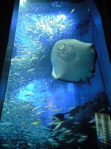 f0006509_23485662.jpg