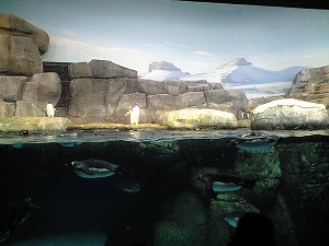 f0006509_2348585.jpg