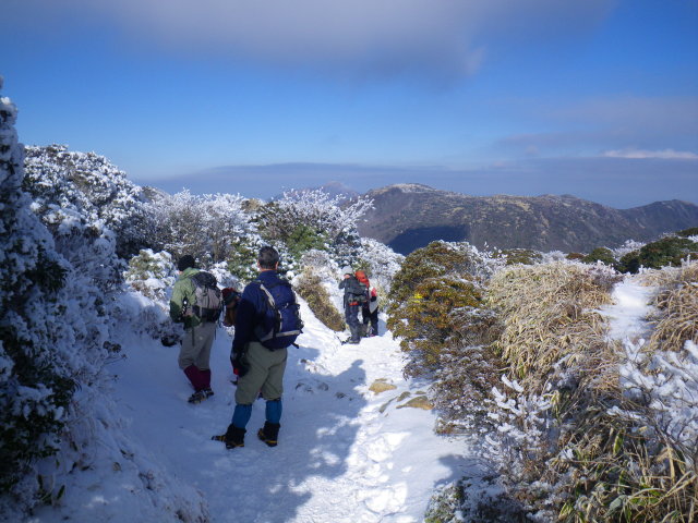 d0006512_22394643.jpg