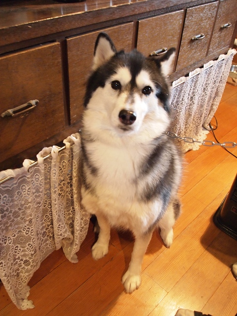 b0207615_22121234.jpg