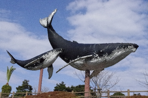 f0126515_1240634.jpg