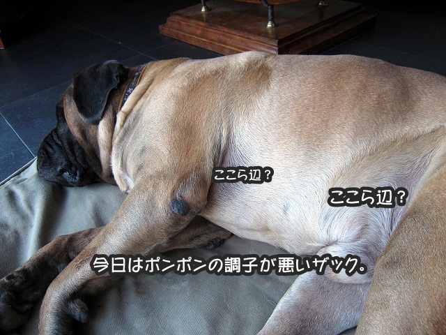 e0192217_1523365.jpg