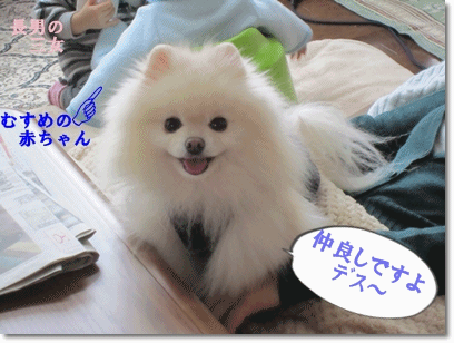 b0167519_14455089.gif