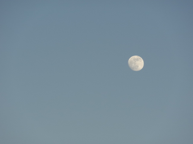 e0016828_13505526.jpg