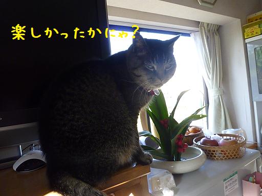 b0138430_1332283.jpg
