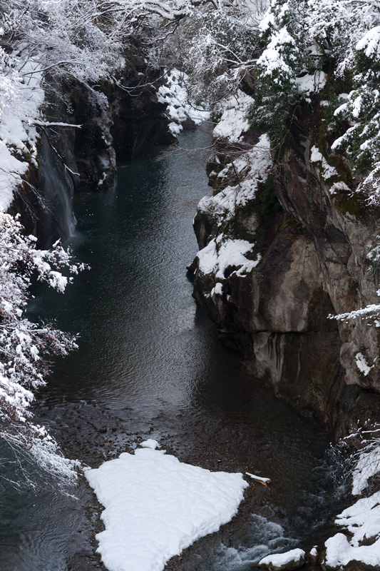 b0177233_865090.jpg