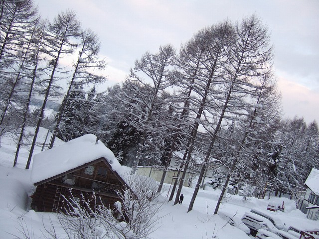 c0208836_230668.jpg