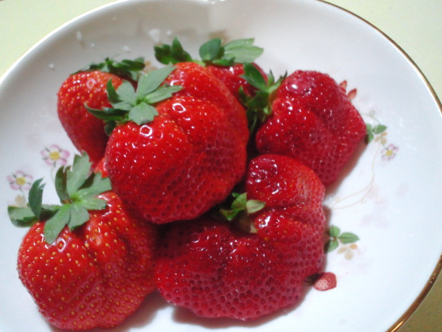 c0117239_10144045.jpg