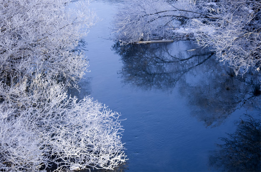 f0152939_16223378.jpg