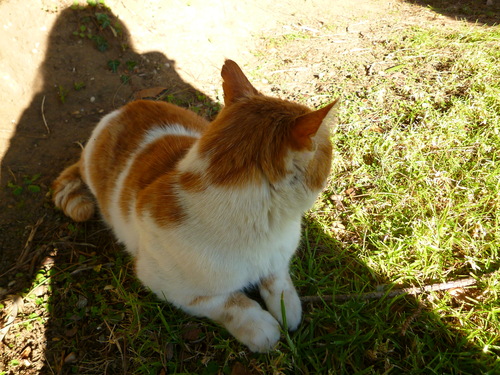 d0170140_23555783.jpg