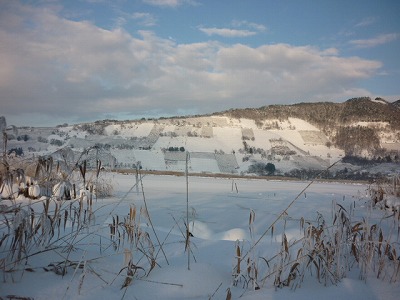 e0131541_1741974.jpg