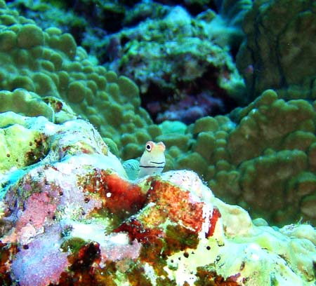 f0014842_1828444.jpg