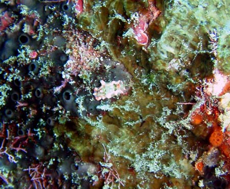 f0014842_18314975.jpg