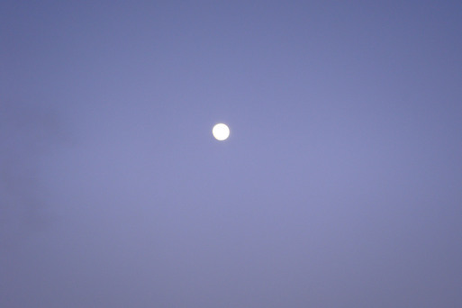 e0226943_0164837.jpg
