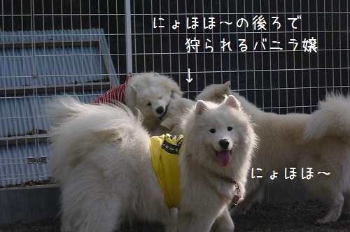 a0166954_21493971.jpg