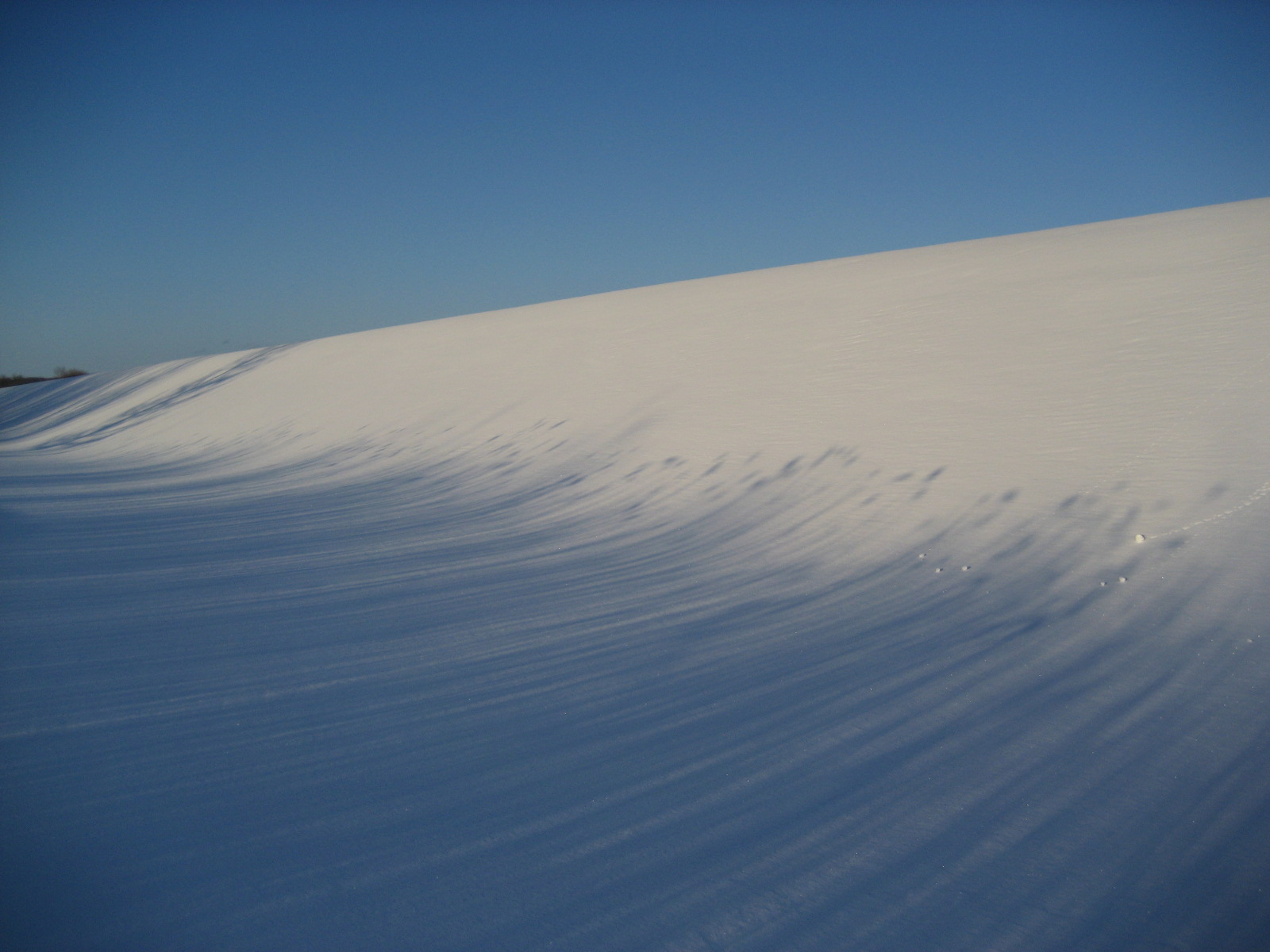 c0117058_2152122.jpg
