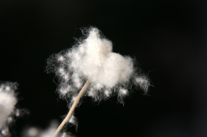 d0244960_1557944.jpg