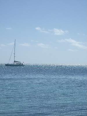 d0102664_1411145.jpg