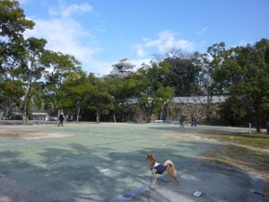 c0216472_1631079.jpg