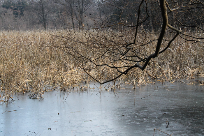 e0249878_3122735.jpg