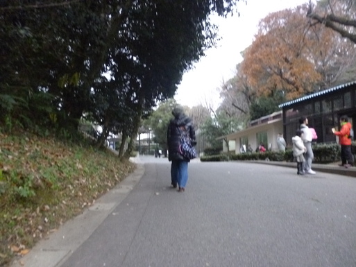 c0182782_051780.jpg